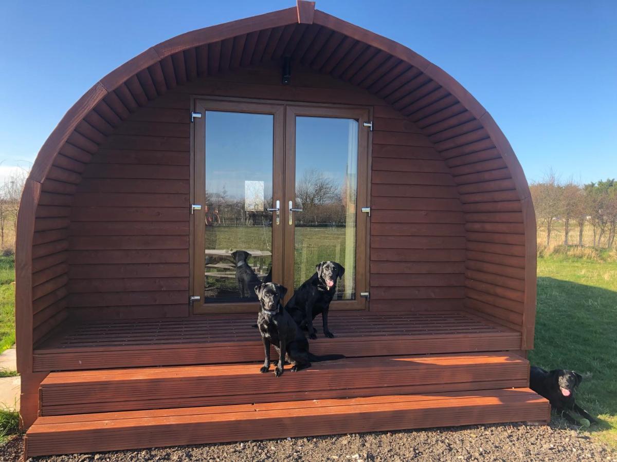Manor Farm Stay Sutton-on-Sea エクステリア 写真