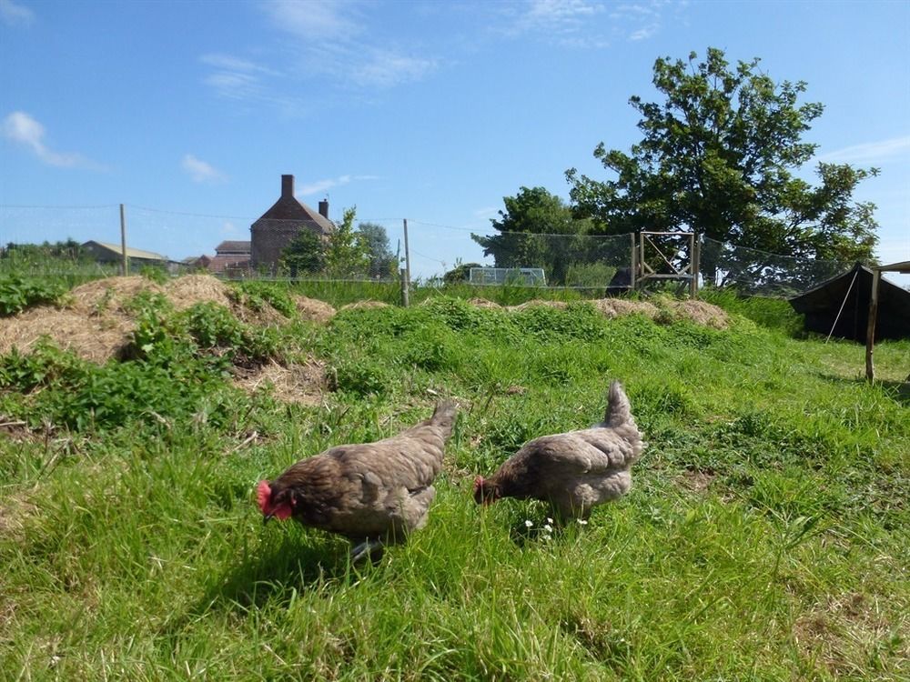 Manor Farm Stay Sutton-on-Sea エクステリア 写真